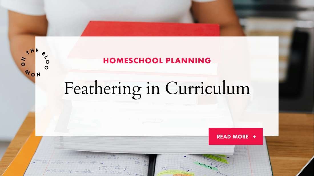 Feathering In Curriculum