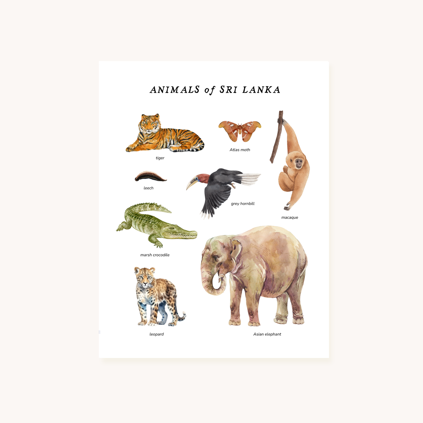 The Girl Who Stole an Elephant