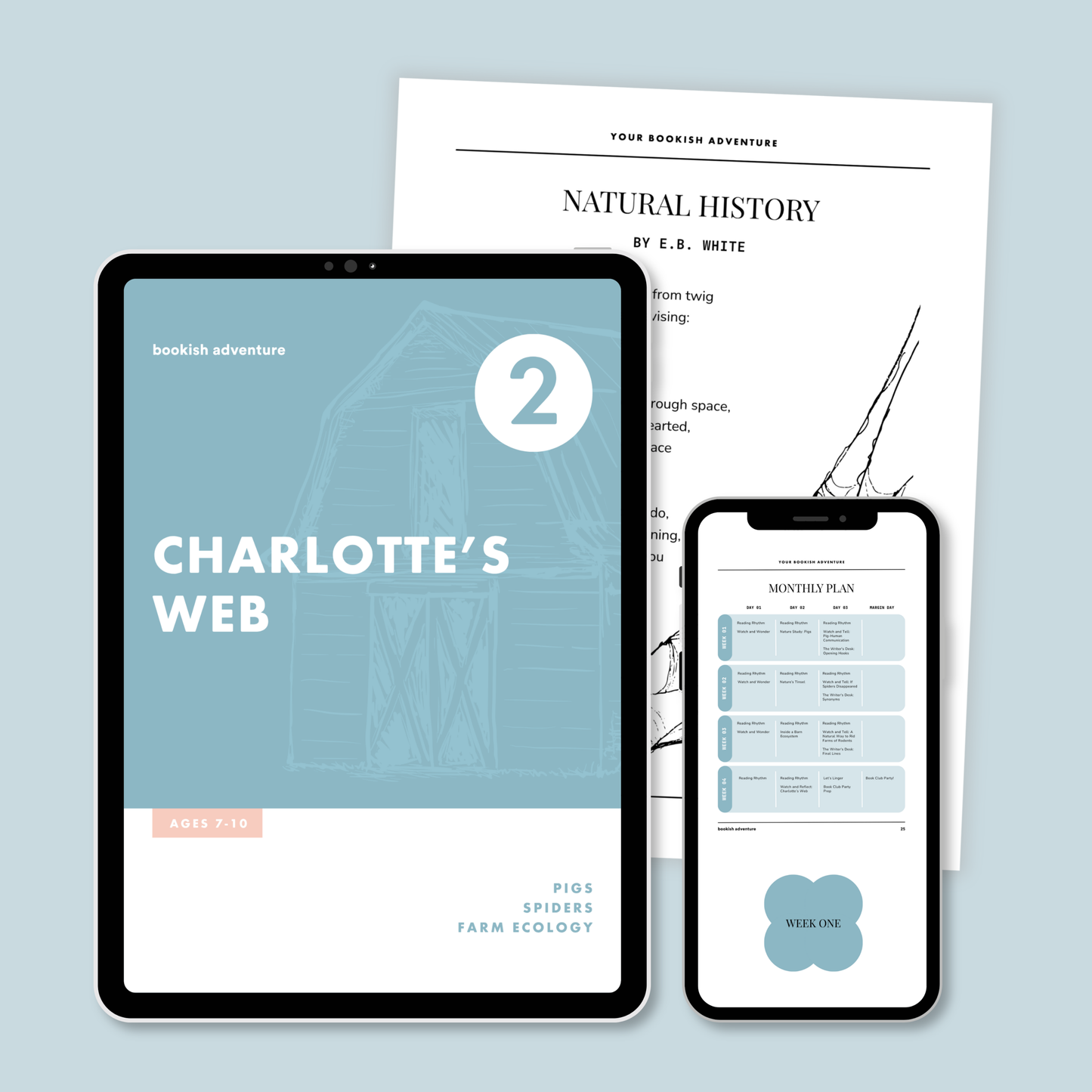 Charlotte's Web