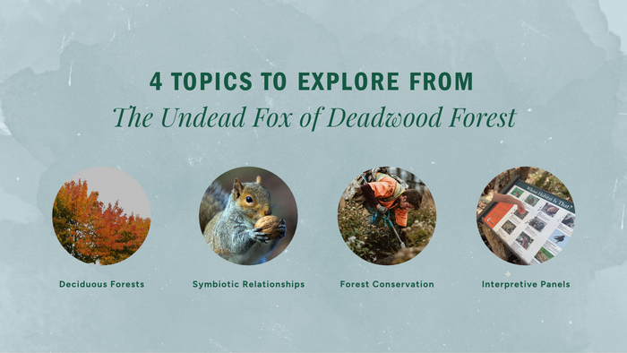 The Undead Fox of Deadwood Forest Unit Study Deciduous Forests