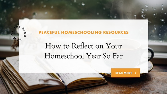 How to Reflect on Your Homeschool Year So Far