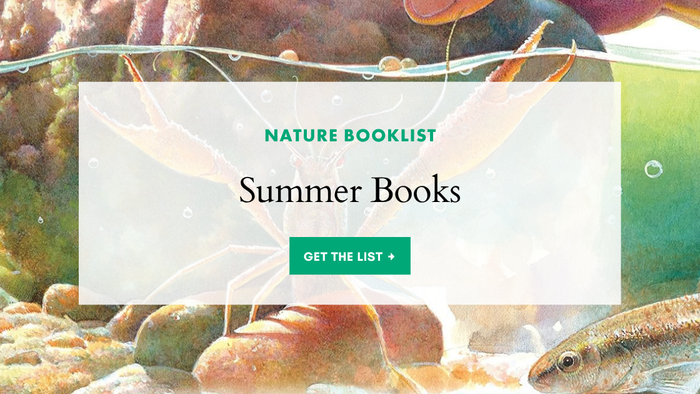 Summer Nature Study