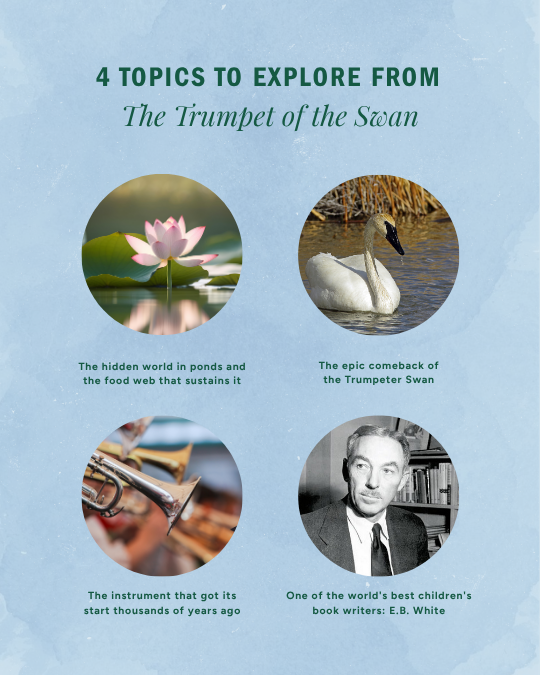 Trumpet of the Swan Homeschool Unit Study Guide