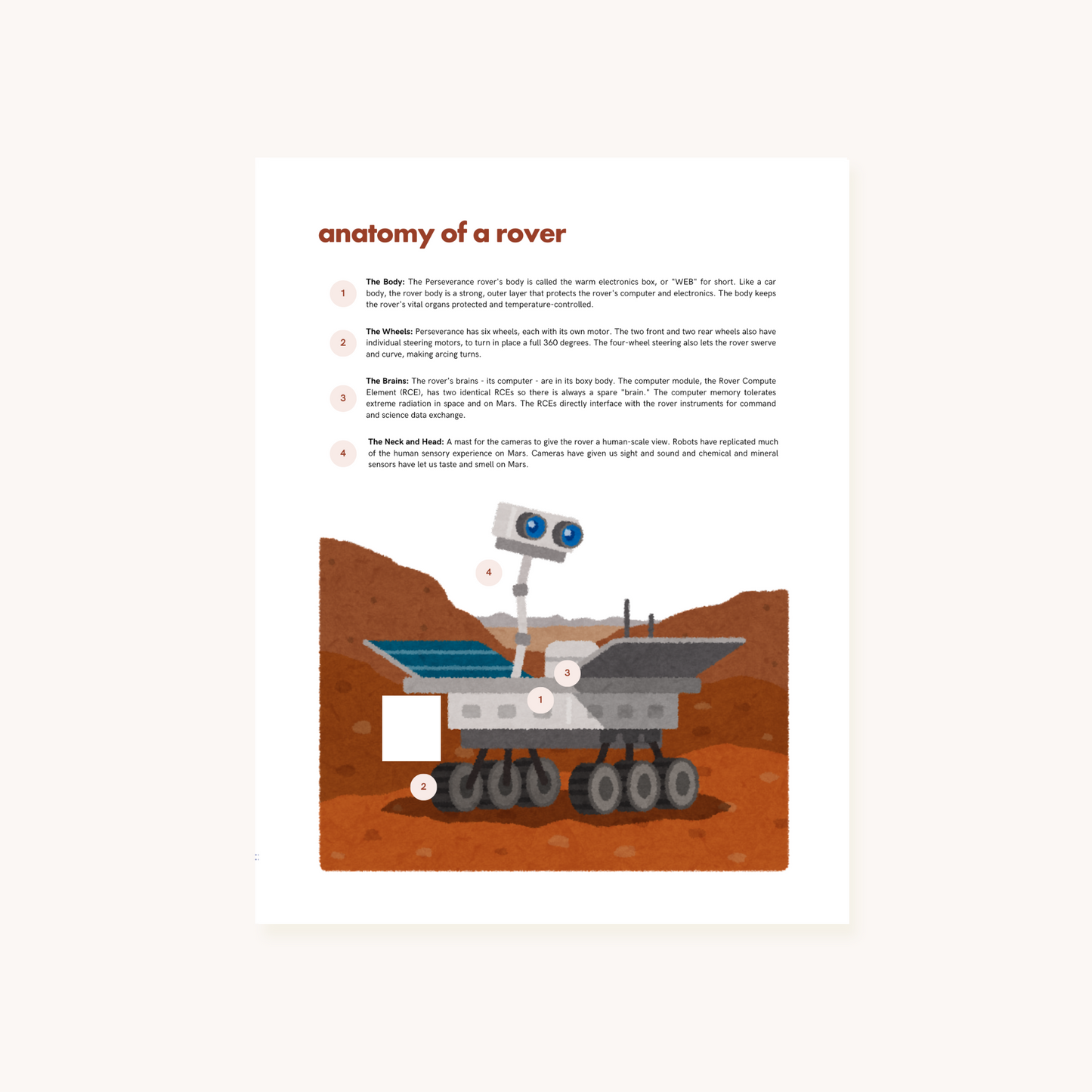 A Rover's Story