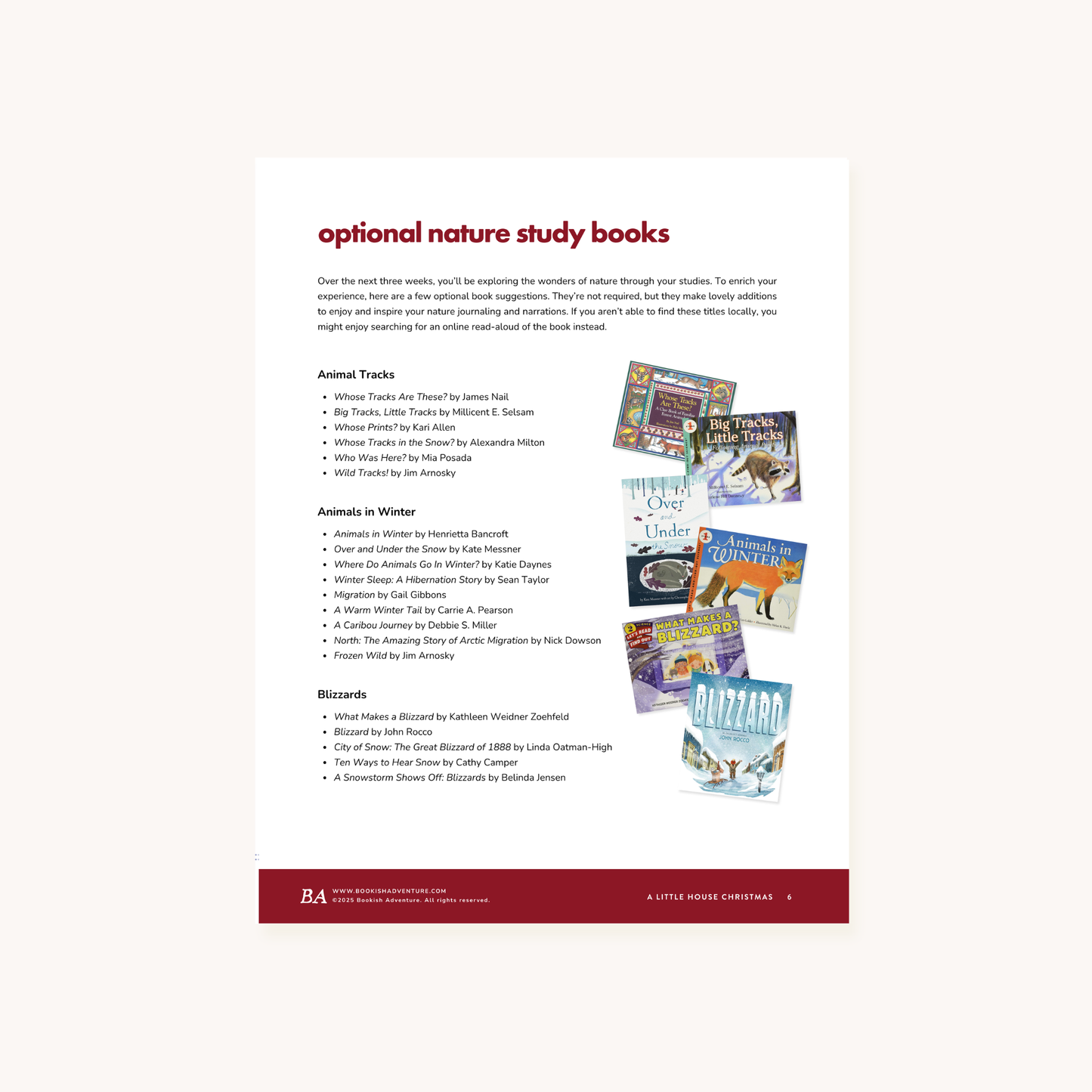 A Little House Christmas